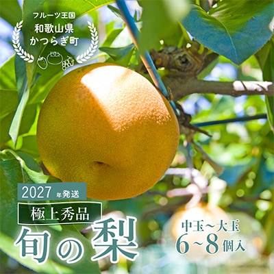 先行予約!　旬の梨　極上秀品(中玉～大玉)6～8個入り　2027年8月中旬頃から発送