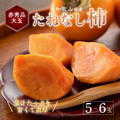 先行受付!　柿　種無し　赤秀品　大玉　5～6個　約2kg  こだわり農家厳選!