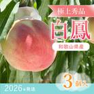 桃先行受付!　桃の王様【白鳳】　特秀品　食べきりやすい3個入り　こだわり農家厳選!
