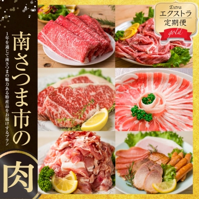 【定期便】エクストラ定期便ゴールド