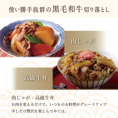 【鹿児島県産】黒毛和牛 赤身 切り落とし 1kg(500g×2)