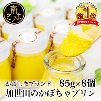 【ブランド野菜スイーツ】加世田かぼちゃプリン85g×8個