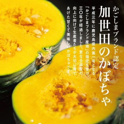 【ブランド野菜スイーツ】加世田かぼちゃプリン85g×8個