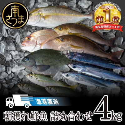 【漁港直送】朝獲れ鮮魚 詰め合わせ 4kg