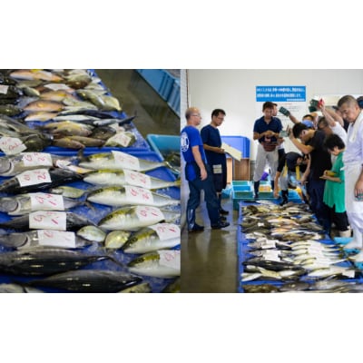 【漁港直送】朝獲れ鮮魚 詰め合わせ 4kg