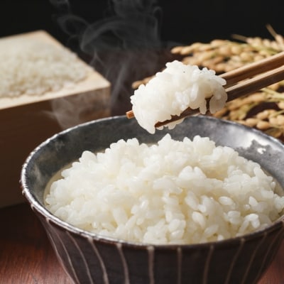 鹿児島県南さつま市産 農家自慢のお米 5kg お礼品詳細 ふるさと納税なら さとふる 鹿児島県南さつま市産 農家自慢のお米 5kg お礼品詳細 ふるさと納税なら さとふる