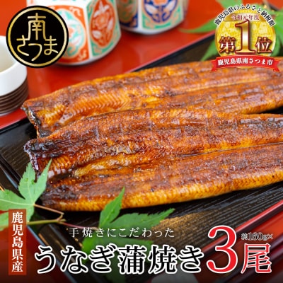 【鹿児島県産 鰻】うなぎ専門店「万のせ」 うなぎ蒲焼3尾(手焼き)