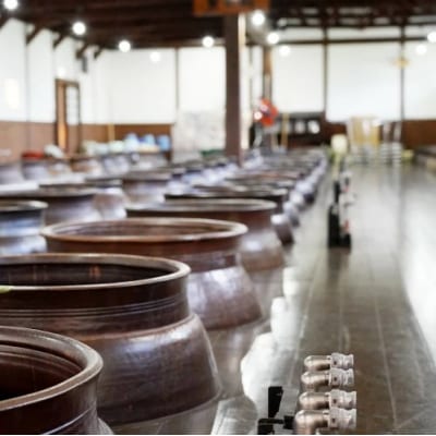 【蔵元直送】本坊酒造 源次郎梅酒 黒麹 本格焼酎 梅酒 ギフト ご贈答 記念品 おすすめ 梅 人気