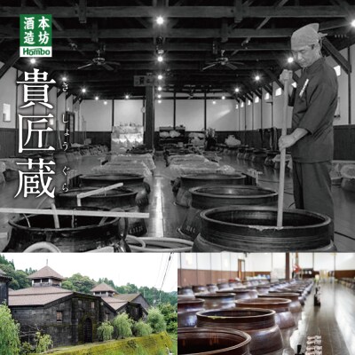 【蔵元直送】本坊酒造 源次郎梅酒 黒麹 本格焼酎 梅酒 ギフト ご贈答 記念品 おすすめ 梅 人気