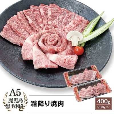 【鹿児島県産】A5等級 黒毛和牛 霜降り焼肉用 400g 焼肉 BBQ カミチク 南さつま市