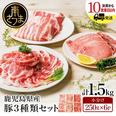 【鹿児島県産】豚3種類 計1.5kgセット 豚肉 小分け 冷凍 カミチク