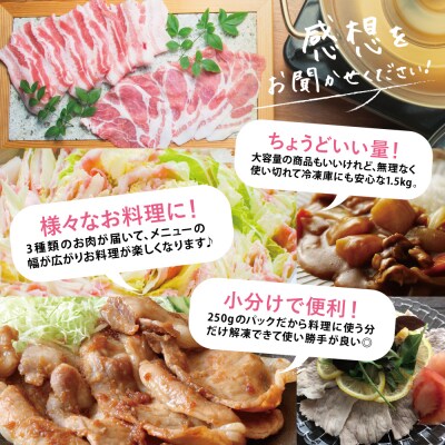 鹿児島県産豚3種類1.5kgセット 国産 豚肉 小分け しゃぶしゃぶ 生姜焼き バラスライス