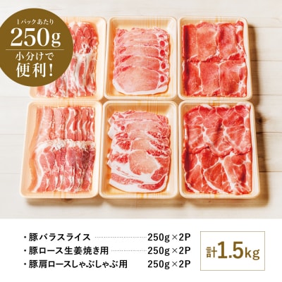 【鹿児島県産】豚3種類 計1.5kgセット 豚肉 小分け 冷凍 カミチク