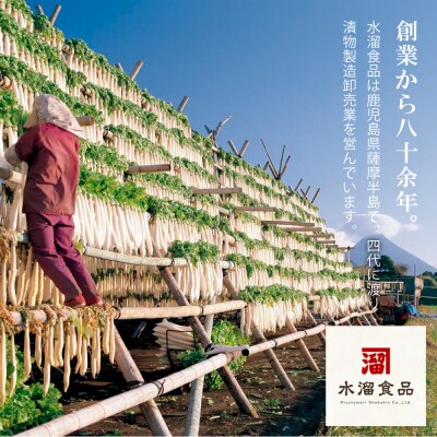 【九州産野菜使用】水溜食品 西郷どんのお漬物セット 9種 計18袋 漬物 おつまみ 鹿児島 国産