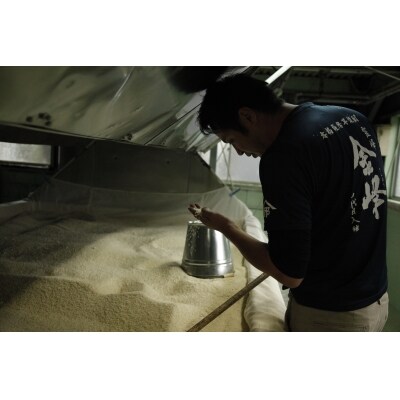 【焼酎定期便】本格芋焼酎 蔵元厳選定期便(一升瓶コース)