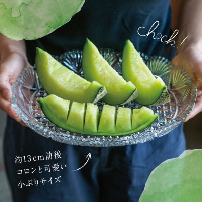 ◆5月～6月出荷◆鹿児島県産 マリオネットメロン 4～6玉 JA南さつま