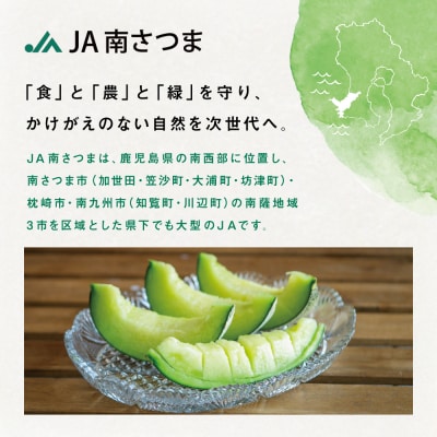 ◆5月～6月出荷◆鹿児島県産 マリオネットメロン 4～6玉 JA南さつま