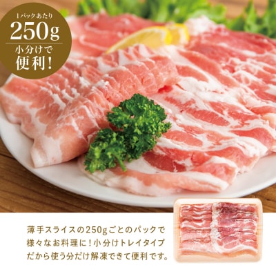 【鹿児島県産】豚バラスライス 250g×6P 計1.5kgセット