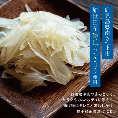 【鹿児島県産】スライス白宝らっきょう 8袋