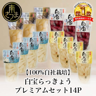 【鹿児島県産】白宝らっきょうプレミアムセット 14P(酢漬け・塩漬け各4P、しそ漬け・黒酢漬け各3P