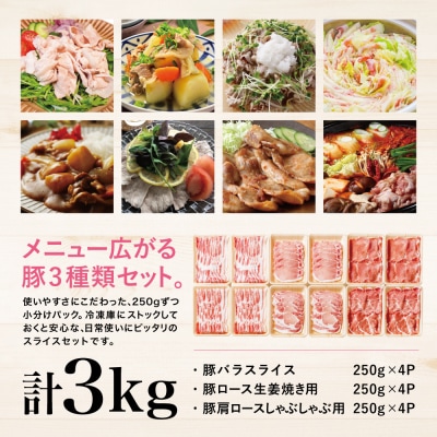 【鹿児島県産】豚肉3種 3kg(250g×12パック)肩ロースしゃぶしゃぶ 生姜焼き用 バラスライス