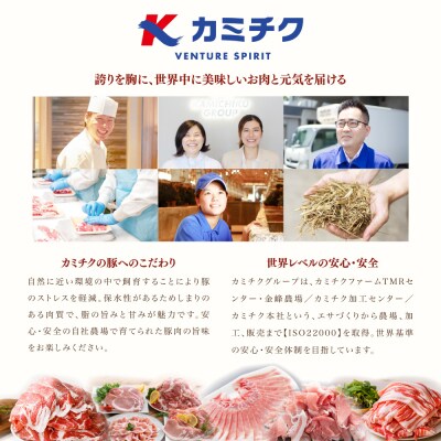 鹿児島県産 豚肉3種 3kg 250g 12パック 肩ロースしゃぶしゃぶ 生姜焼き用 バラスライス お礼品詳細 ふるさと納税なら さとふる