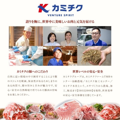 【鹿児島県産】豚肉3種 3kg(250g×12パック)肩ロースしゃぶしゃぶ 生姜焼き用 バラスライス