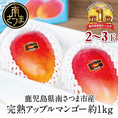 【7月上旬出荷開始】鹿児島県産 完熟アップルマンゴー 約1kg(2～3玉) フルーツ 果物 贈り物