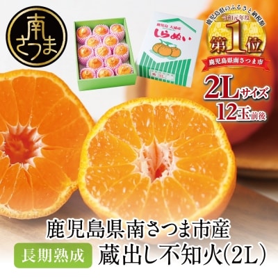 【長期熟成柑橘】蔵出し不知火(しらぬい) 2L～3Lサイズ 12玉前後