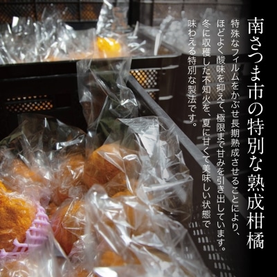【長期熟成柑橘】蔵出し不知火(しらぬい) 2L～3Lサイズ 12玉前後