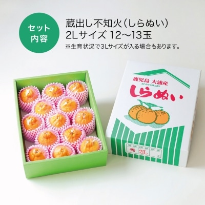 【長期熟成柑橘】蔵出し不知火(しらぬい) 2L～3Lサイズ 12玉前後