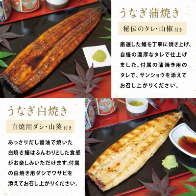 【鹿児島県産 鰻】うなぎ専門店「万のせ」うなぎ蒲焼・白焼きセット