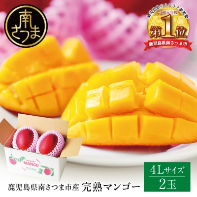 【先行受付】 鹿児島県産 完熟マンゴー  4L 2玉 <2026年6月～順次発送>