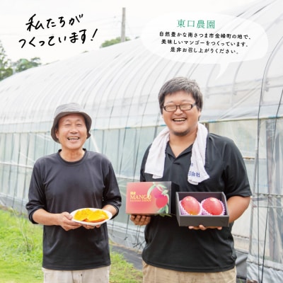【先行受付】 鹿児島県産 完熟マンゴー  4L 2玉 <2026年6月～順次発送>