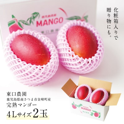 【先行受付】 鹿児島県産 完熟マンゴー  4L 2玉 <2026年6月～順次発送>
