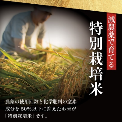 【令和8年産 新米】 特別栽培米 金峰コシヒカリ石蔵米5kg×1袋