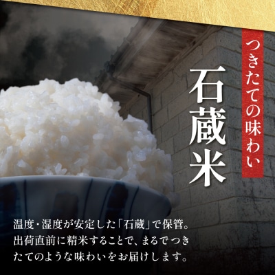 【令和8年産 新米】 特別栽培米 金峰コシヒカリ石蔵米5kg×1袋