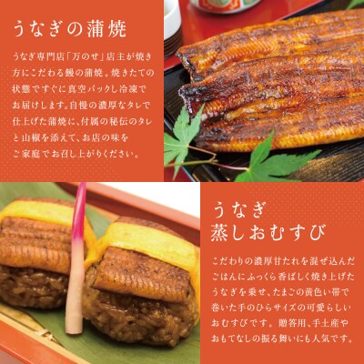 【鹿児島県産 鰻】うなぎ専門店「万のせ」 うなぎ蒲焼2尾とおむすび6個セット
