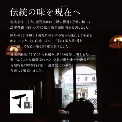 【特別販売店限定】焼酎「燃島」900ml 2本&調味料2本セット