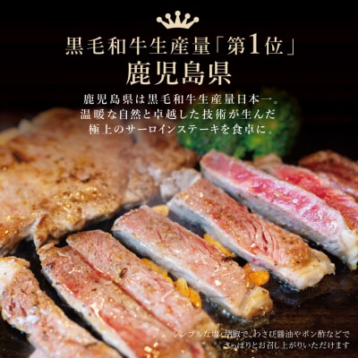【鹿児島県産】黒毛和牛 サーロインステーキ 約500g(約170g×3枚) 4等級以上