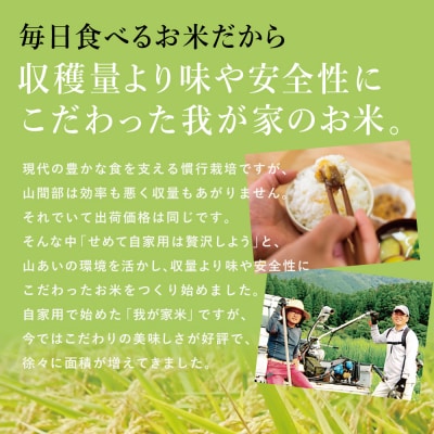【令和6年産】＜新米・8月発送開始＞ 狩集農園の我が家で食べてるお米 5kg 鹿児島県産 コシヒカリ