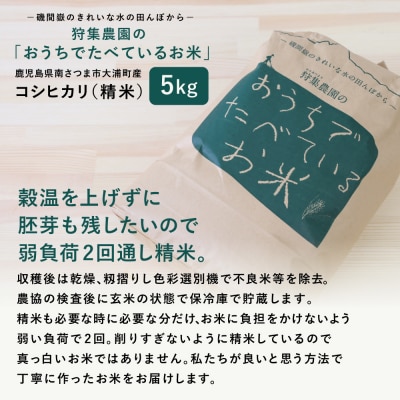 【令和6年産】＜新米・8月発送開始＞ 狩集農園の我が家で食べてるお米 5kg 鹿児島県産 コシヒカリ