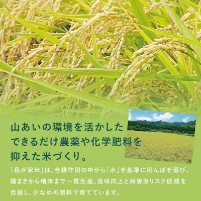 【令和6年産】＜新米・8月発送開始＞ 狩集農園の我が家で食べてるお米 5kg 鹿児島県産 コシヒカリ