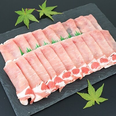 【ブランド黒豚】かごしま黒豚 600g とんかつ用 & ローススライス