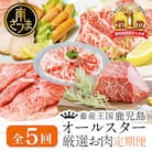 【定期便 全5回】オールスター厳選お肉定期便<お試し版>牛肉・豚肉・肉加工品