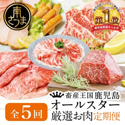 【定期便 全5回】オールスター厳選お肉定期便<お試し版>牛肉・豚肉・肉加工品