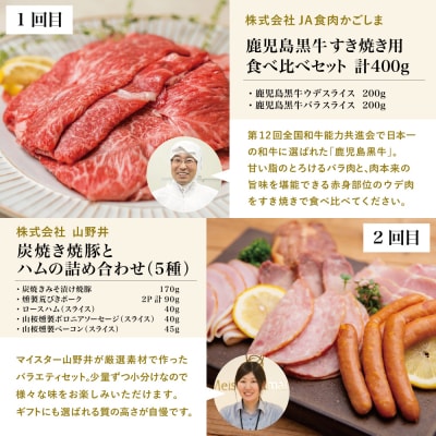 【定期便 全5回】オールスター厳選お肉定期便<お試し版>牛肉・豚肉・肉加工品