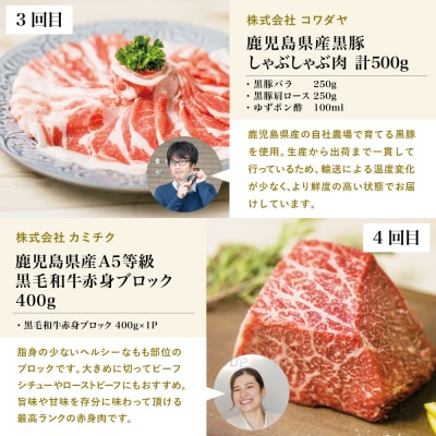 【定期便 全5回】オールスター厳選お肉定期便<お試し版>牛肉・豚肉・肉加工品