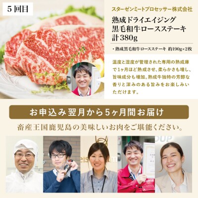 【定期便 全5回】オールスター厳選お肉定期便<お試し版>牛肉・豚肉・肉加工品