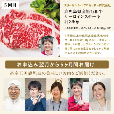 【定期便 全5回】オールスター厳選お肉定期便<お試し版>牛肉・豚肉・肉加工品